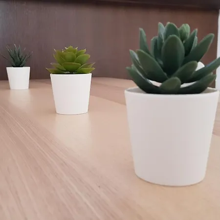 Appartement Rated Huge Sunny Terrace Heated Pool Parking Wifi